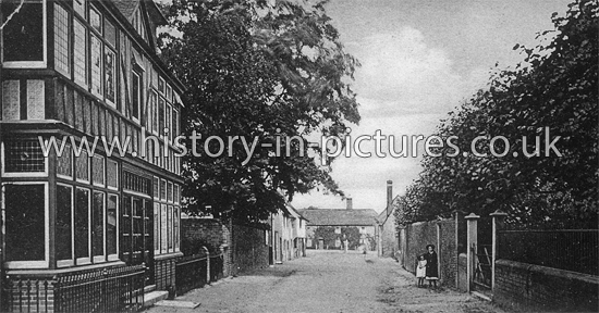 A view in Littlebury, Essex. c.1905